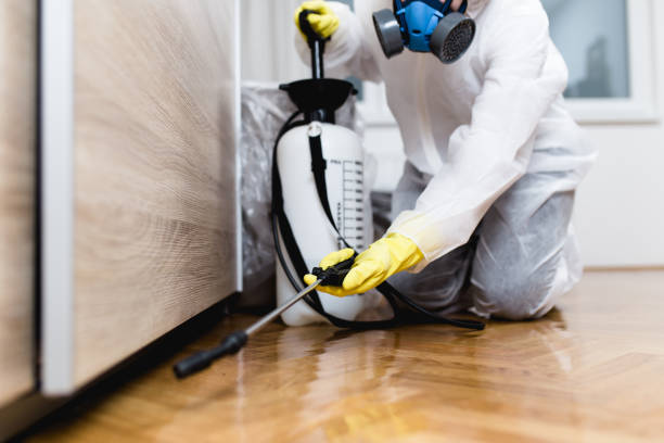 Trusted Waterford, CA Pest Control Experts