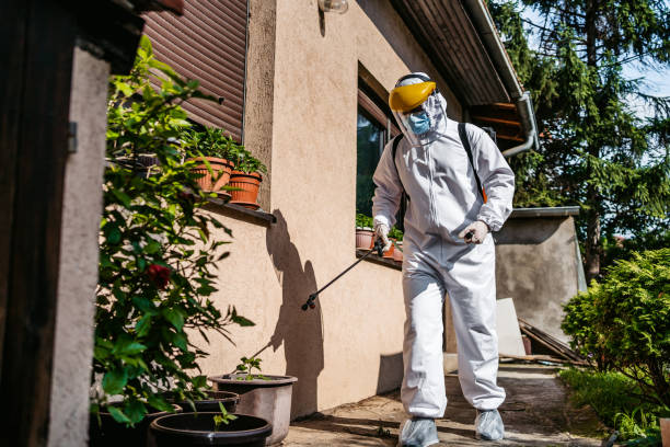 Best Flea Control Services  in Waterford, CA