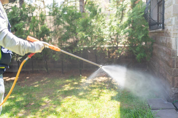 Best Bed Bug Extermination  in Waterford, CA