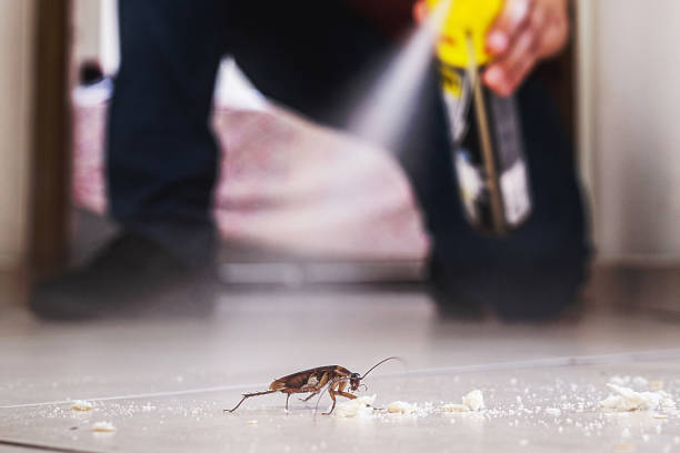 Best Wildlife Control Services  in Waterford, CA