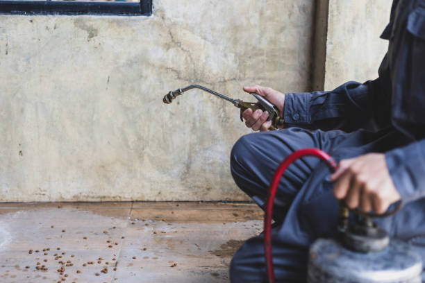 Best Local Pest Control Services  in Waterford, CA